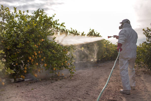 Best Exterminator Services  in Horicon, WI