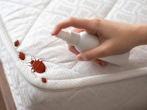 Best Commercial Pest Control Services  in Horicon, WI